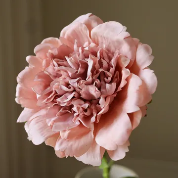 Pion konstgjord blomma - Dusty pink, 56 cm, 1 st - Botané