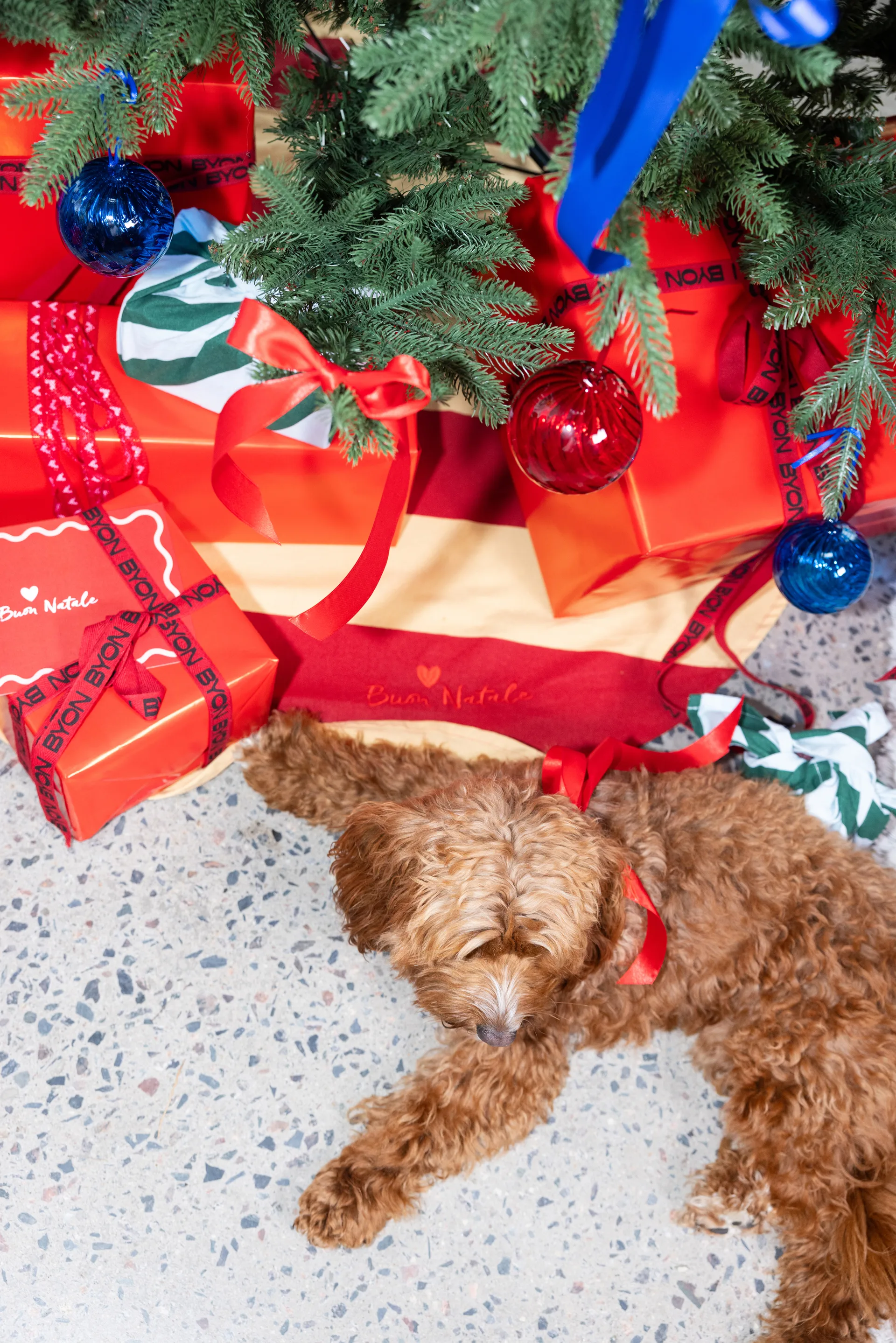 Opacity julgranskula M Ø8 cm 2-pack, Röd Byon