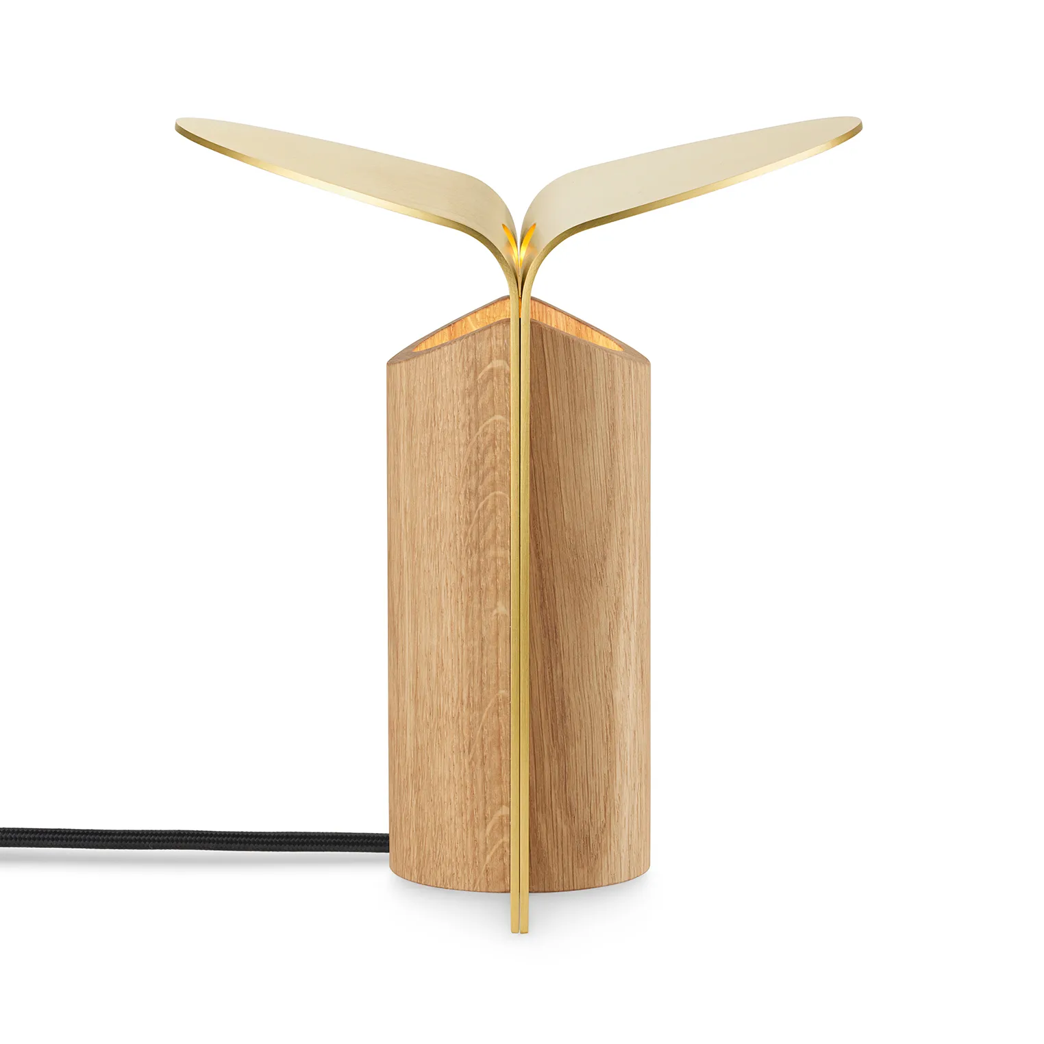 RF200 Petal bordslampa, Oiled oak-brass,  Carl Hansen & Søn