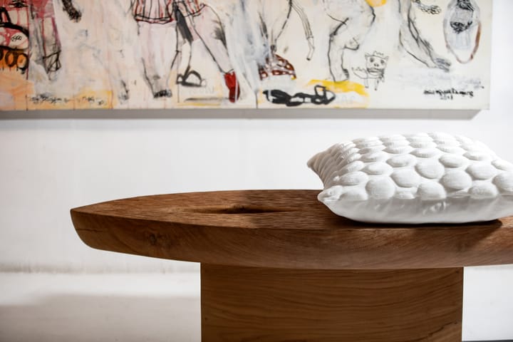 Egg Collection kuddfodral 50x50 cm, Vit Ceannis
