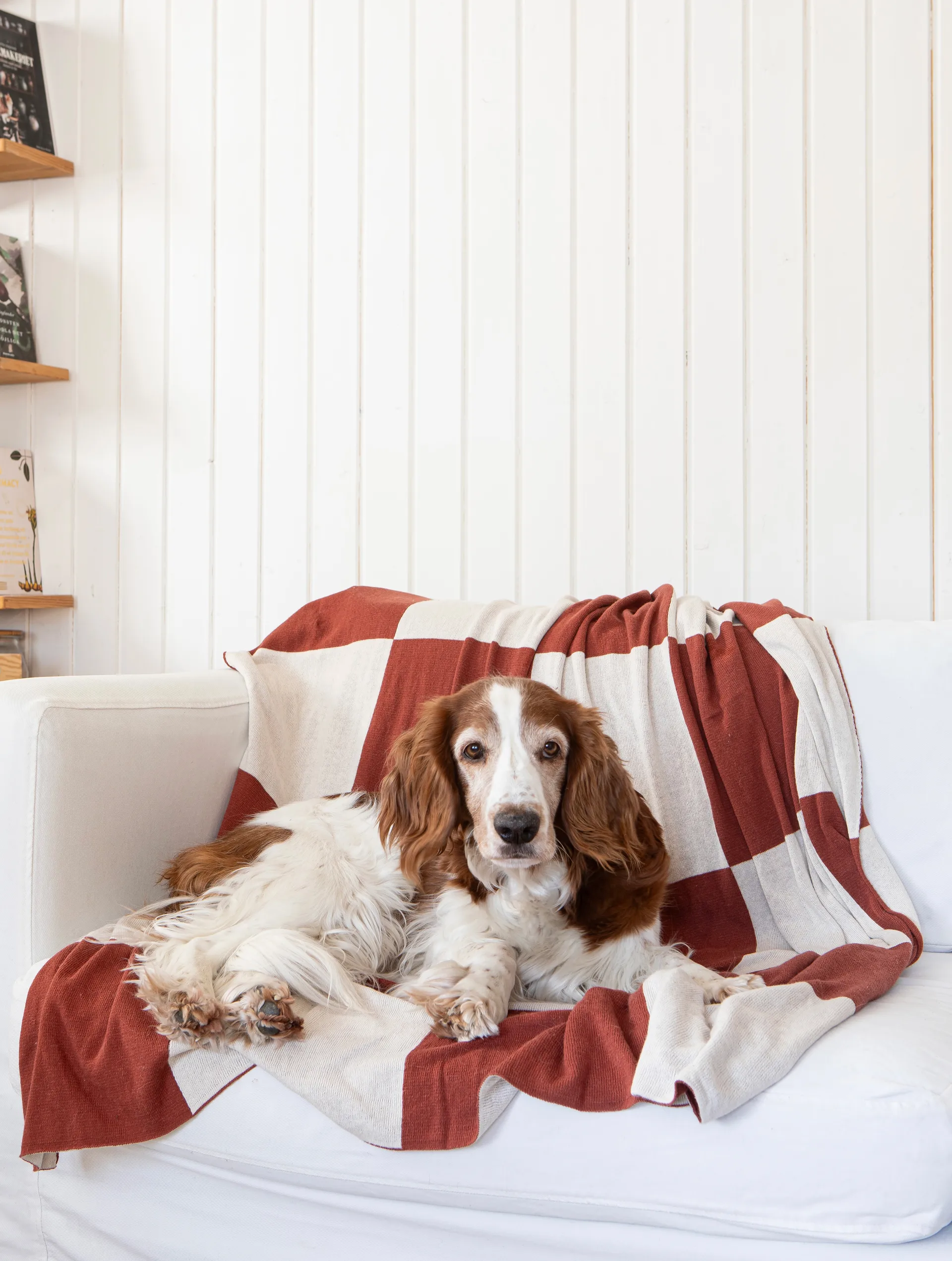 Square pläd 130x170 cm, Mörk Brown Classic Collection