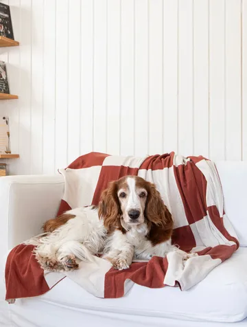 Square pläd 130x170 cm - Mörk Brown - Classic Collection