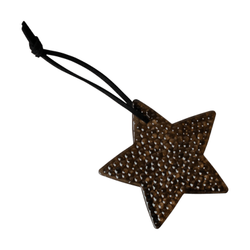 Airy hanging star dekorationshänge - Brown - DBKD