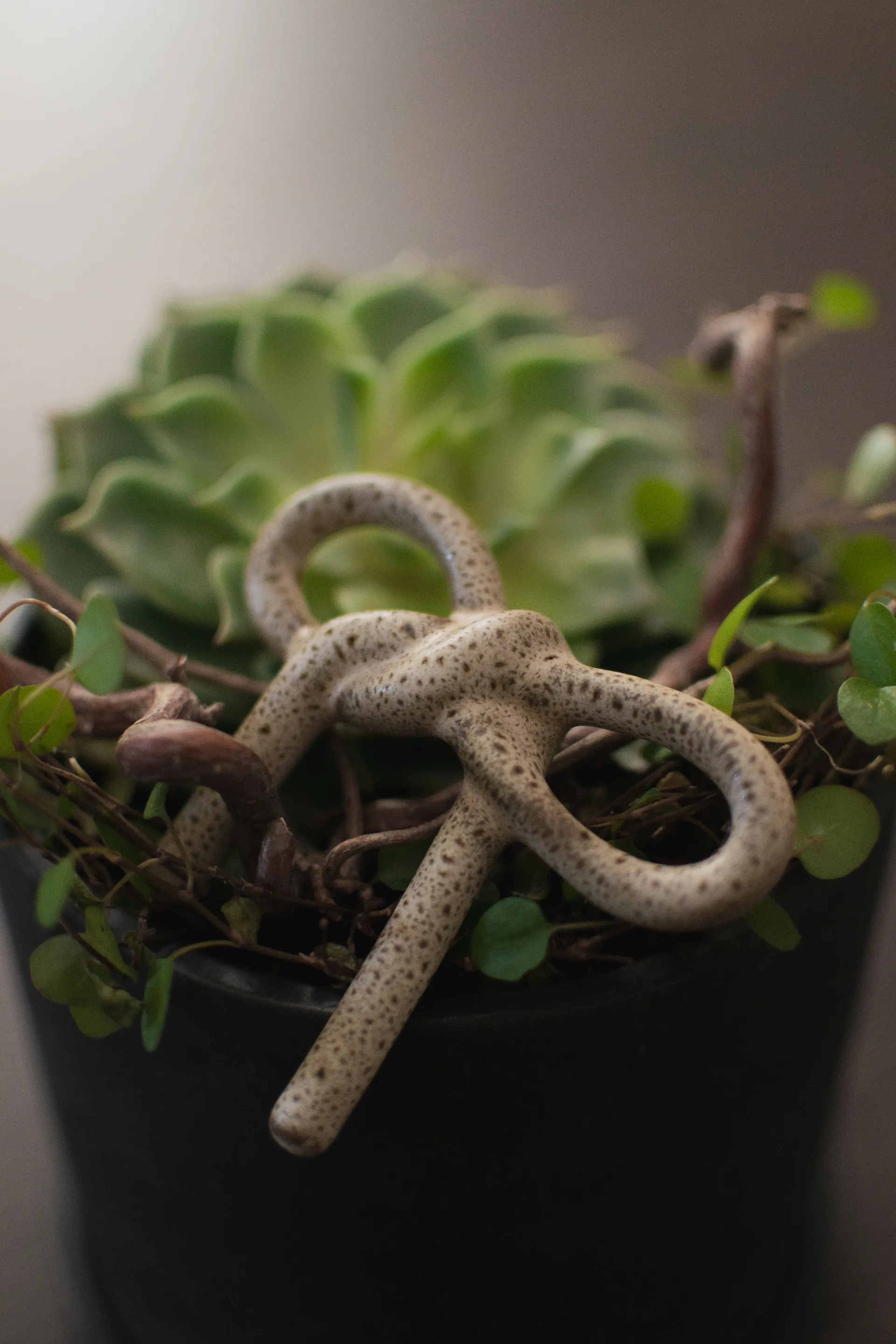 Bow blomdekoration, Beige DBKD