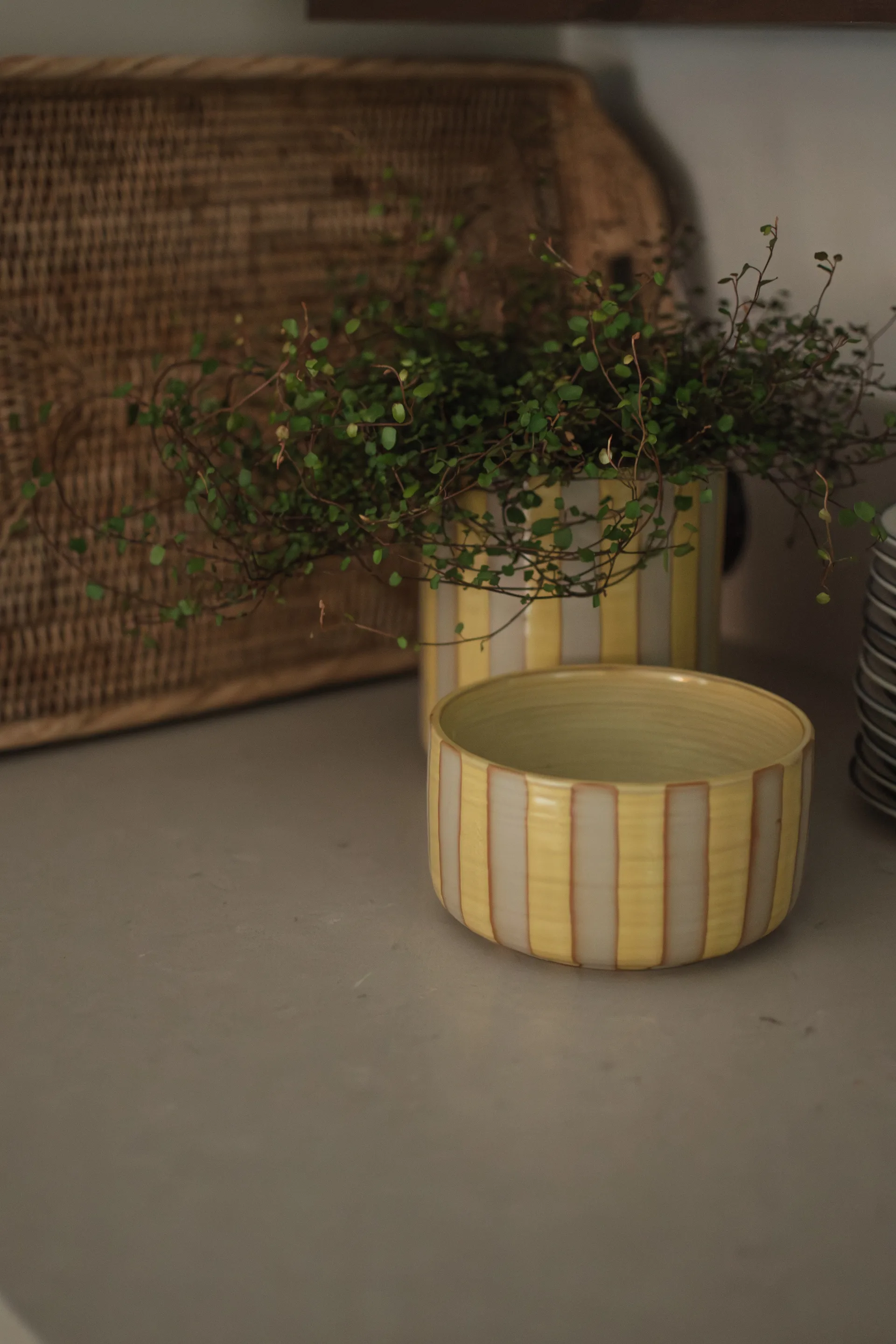 Line dekorationsskål Ø16 cm, Yellow DBKD