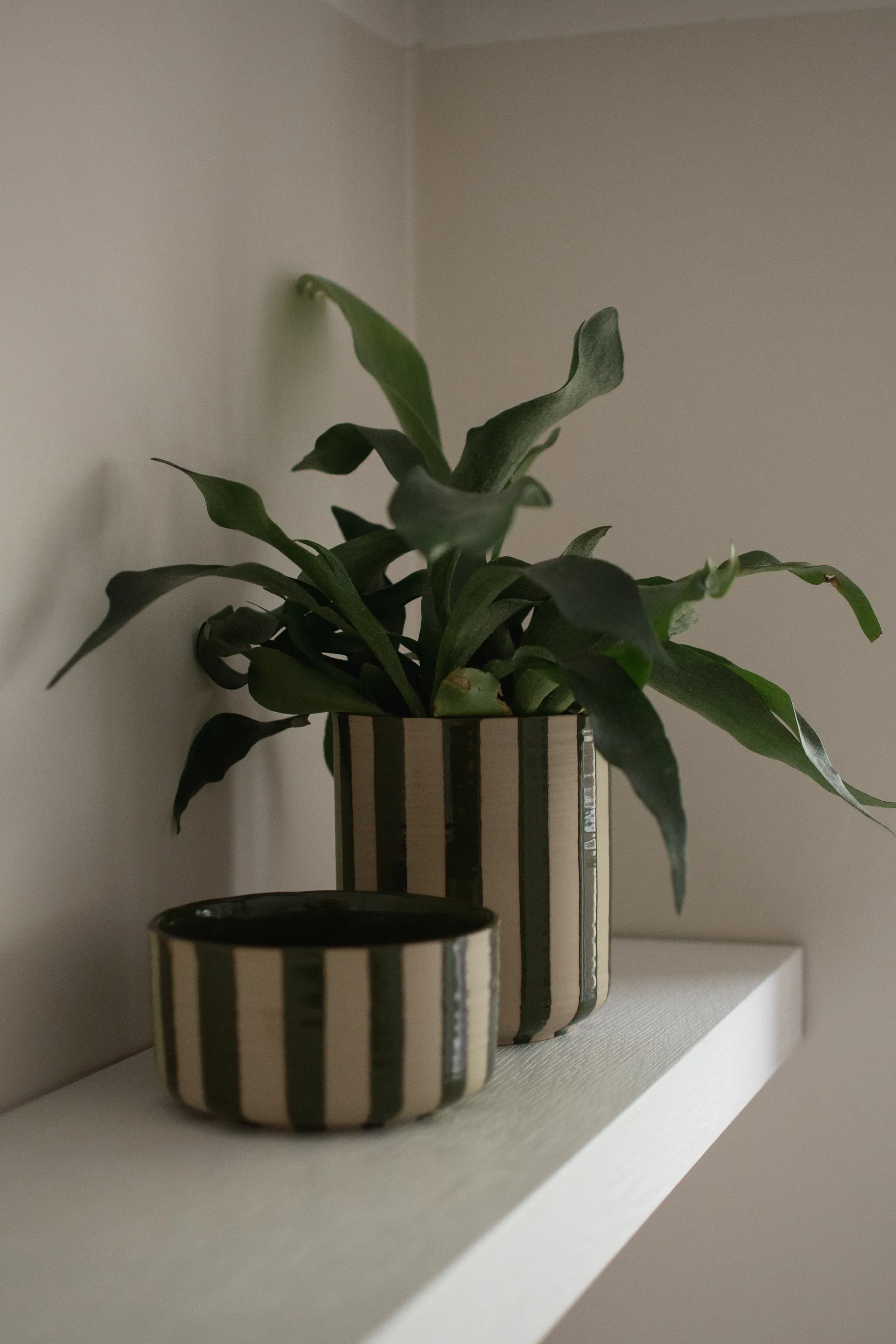 Line kruka Ø14x16 cm, Stripe Green DBKD