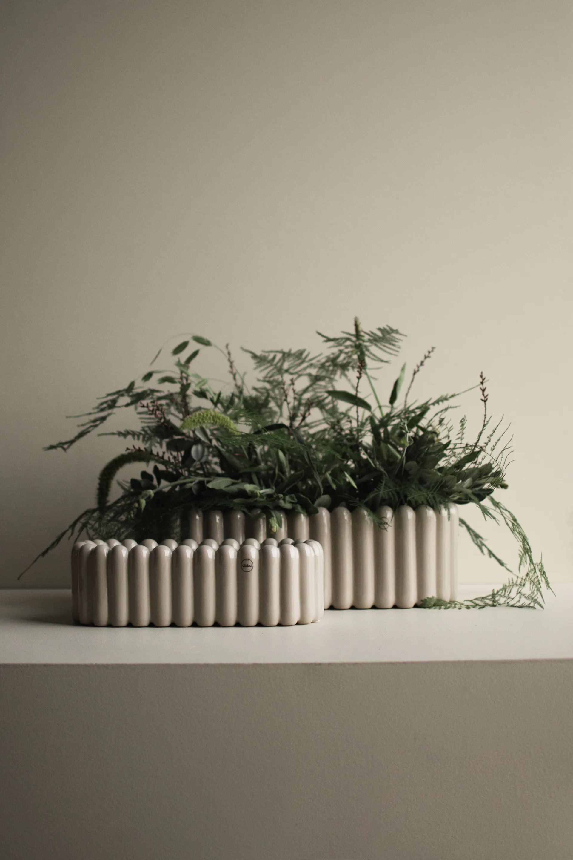 Mist kruka oval, Shiny mole DBKD