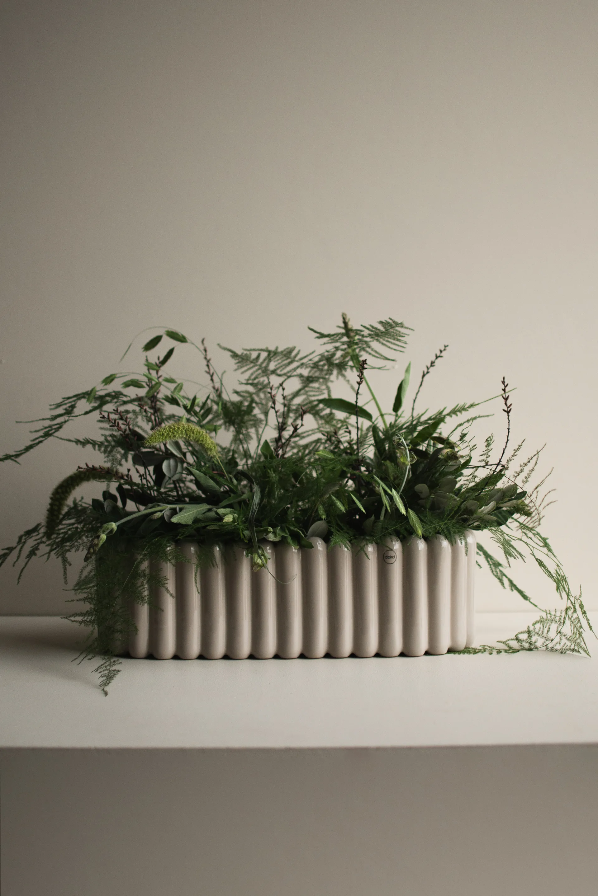 Mist kruka oval, Shiny mole DBKD