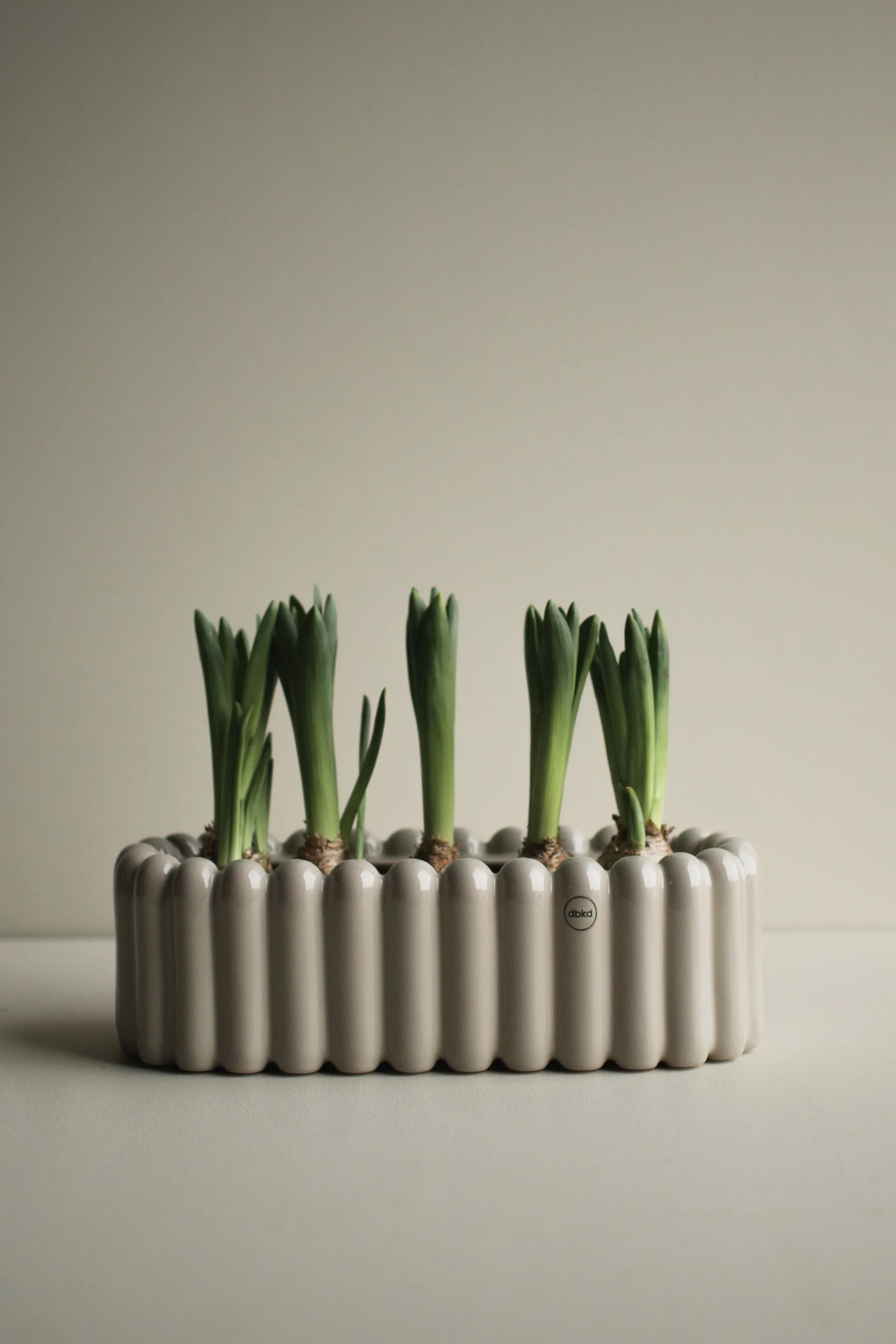 Mist kruka oval small 35 cm, Shiney mole DBKD