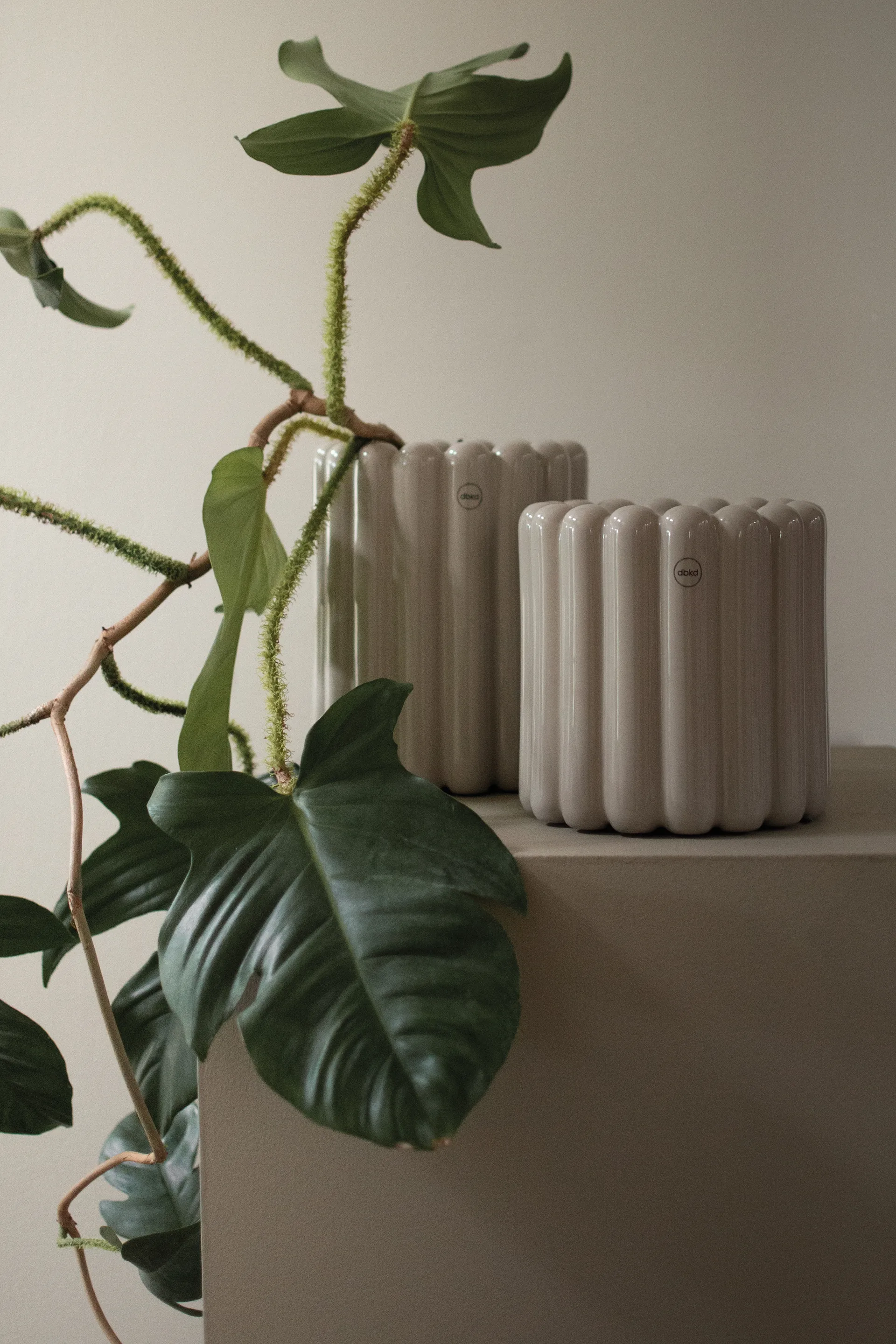 Mist kruka small Ø19x19 cm, Shiny mole DBKD