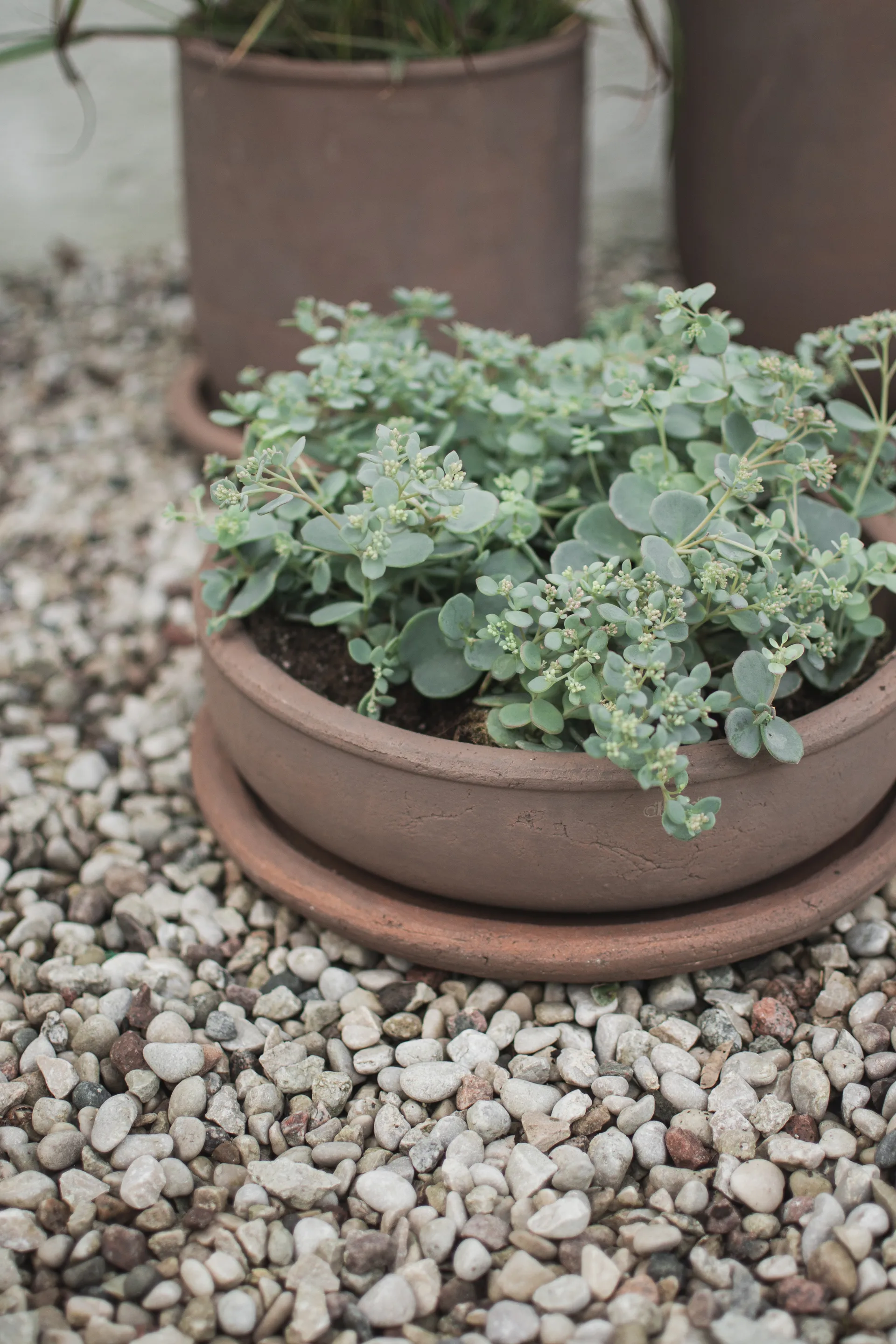 Terra bowl kruka, Brown, Ø30x10,5 cm DBKD