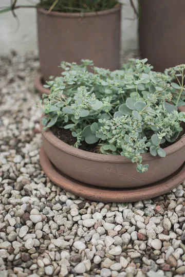 Terra bowl kruka - Brown, Ø30x10,5 cm - DBKD