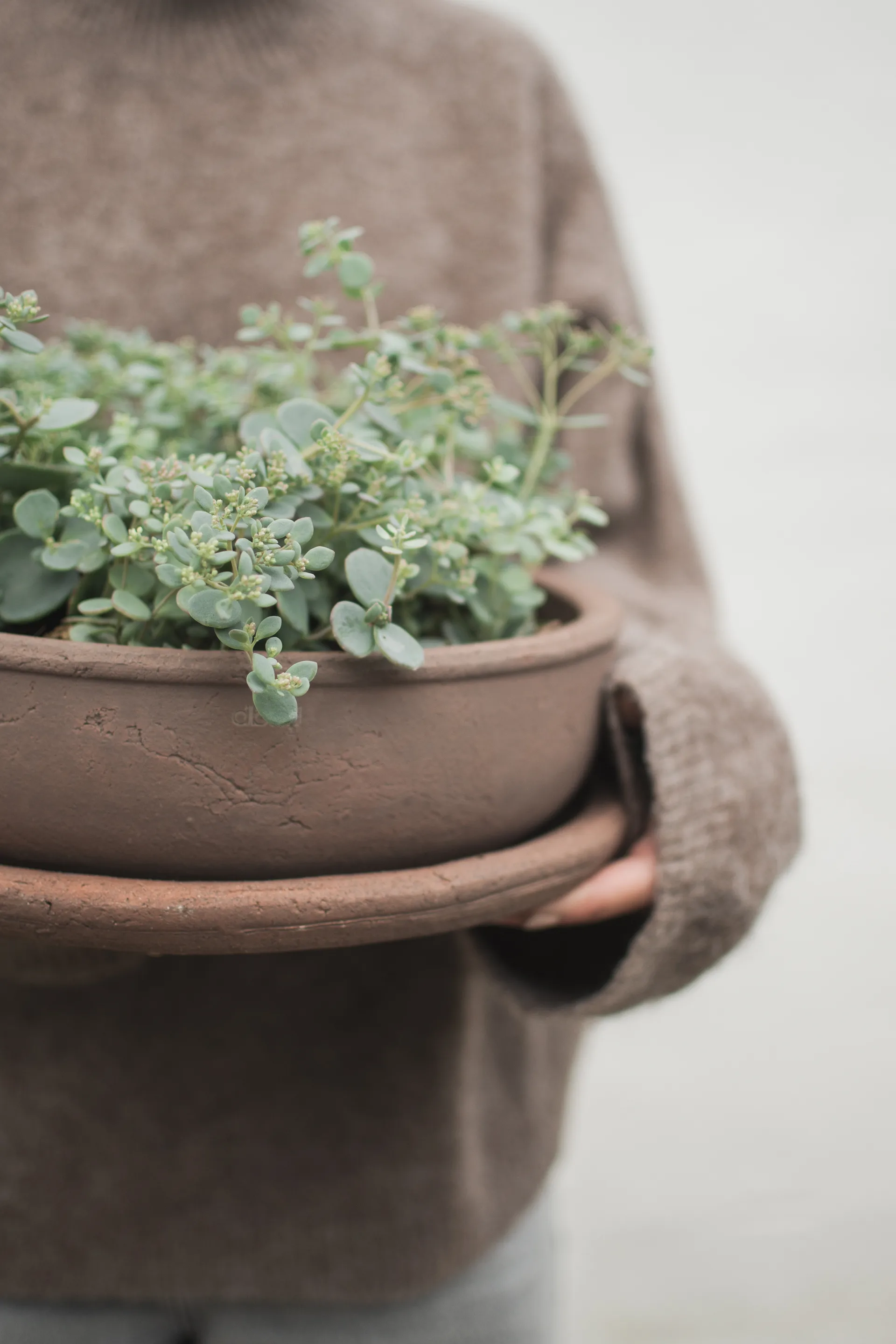 Terra bowl kruka, Brown, Ø30x10,5 cm DBKD