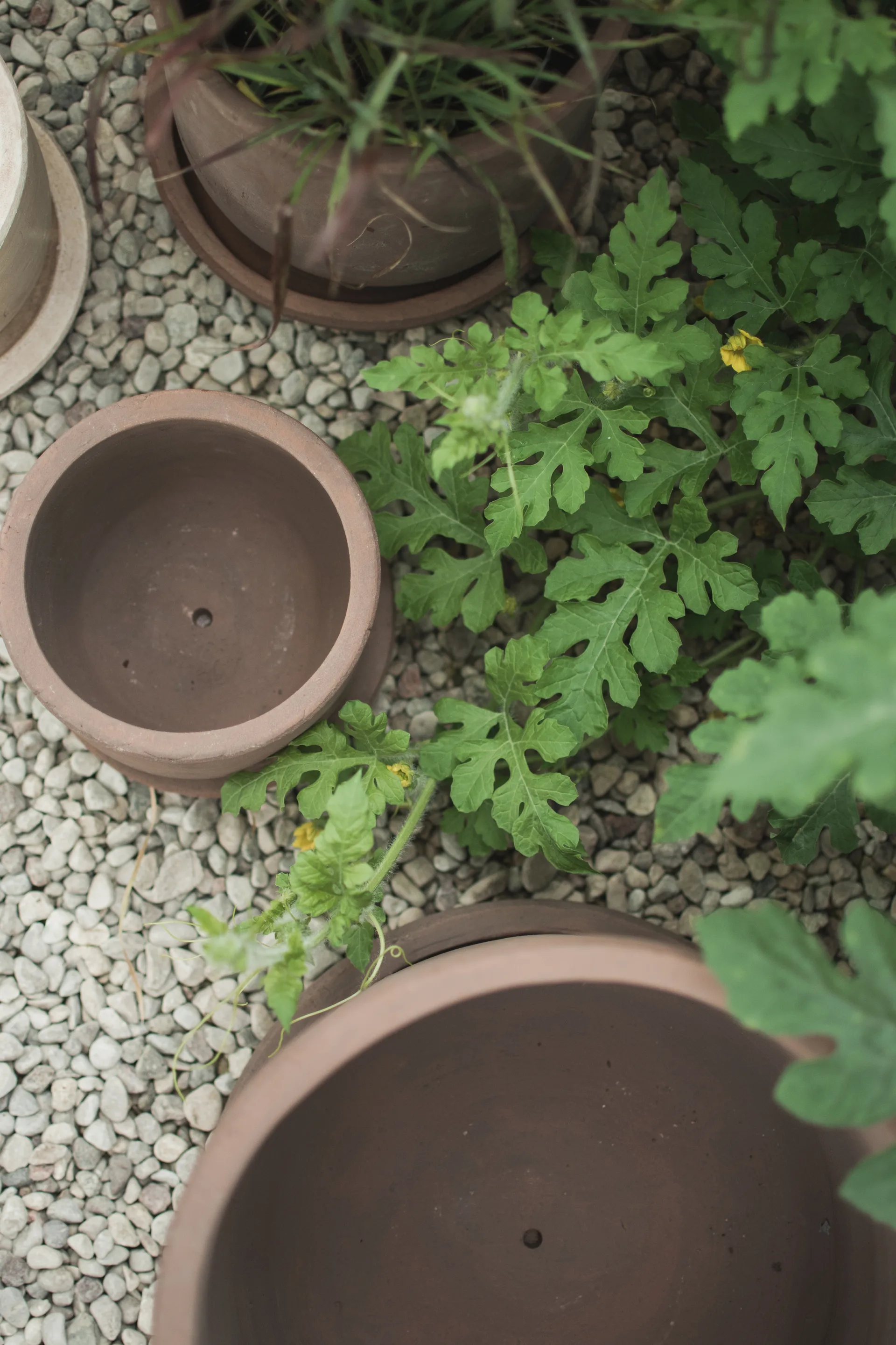 Terra kruka, Brown, Ø33x36 cm DBKD