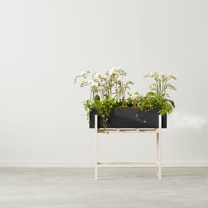 Botanic flower stand, Svart-ask Design House Stockholm