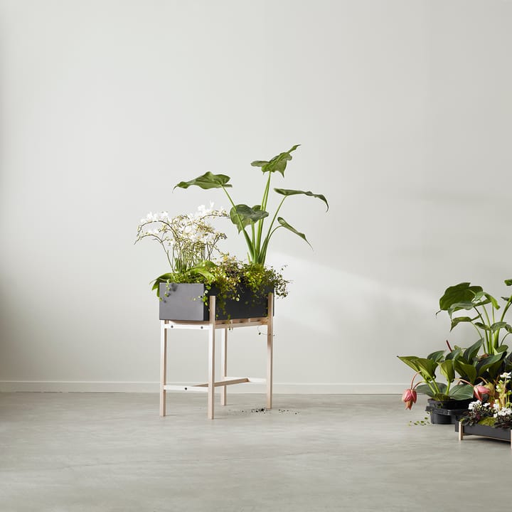 Botanic flower stand, Svart-ask Design House Stockholm