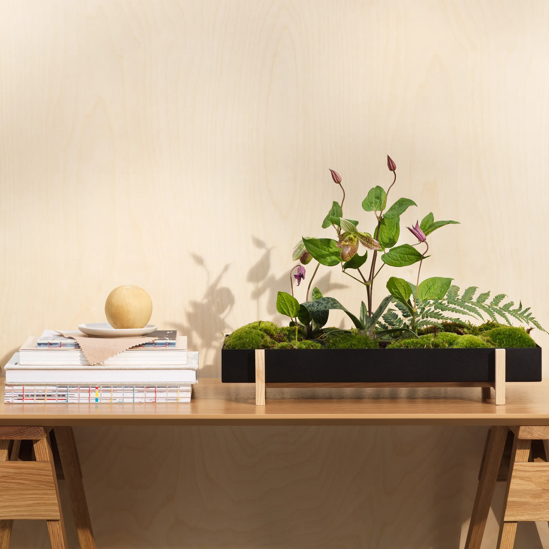Botanic Flower Tray blomsterbricka, svart Design House Stockholm