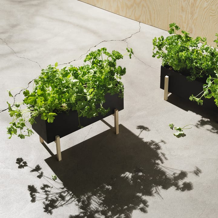 Botanic herb box, Svart-ask Design House Stockholm