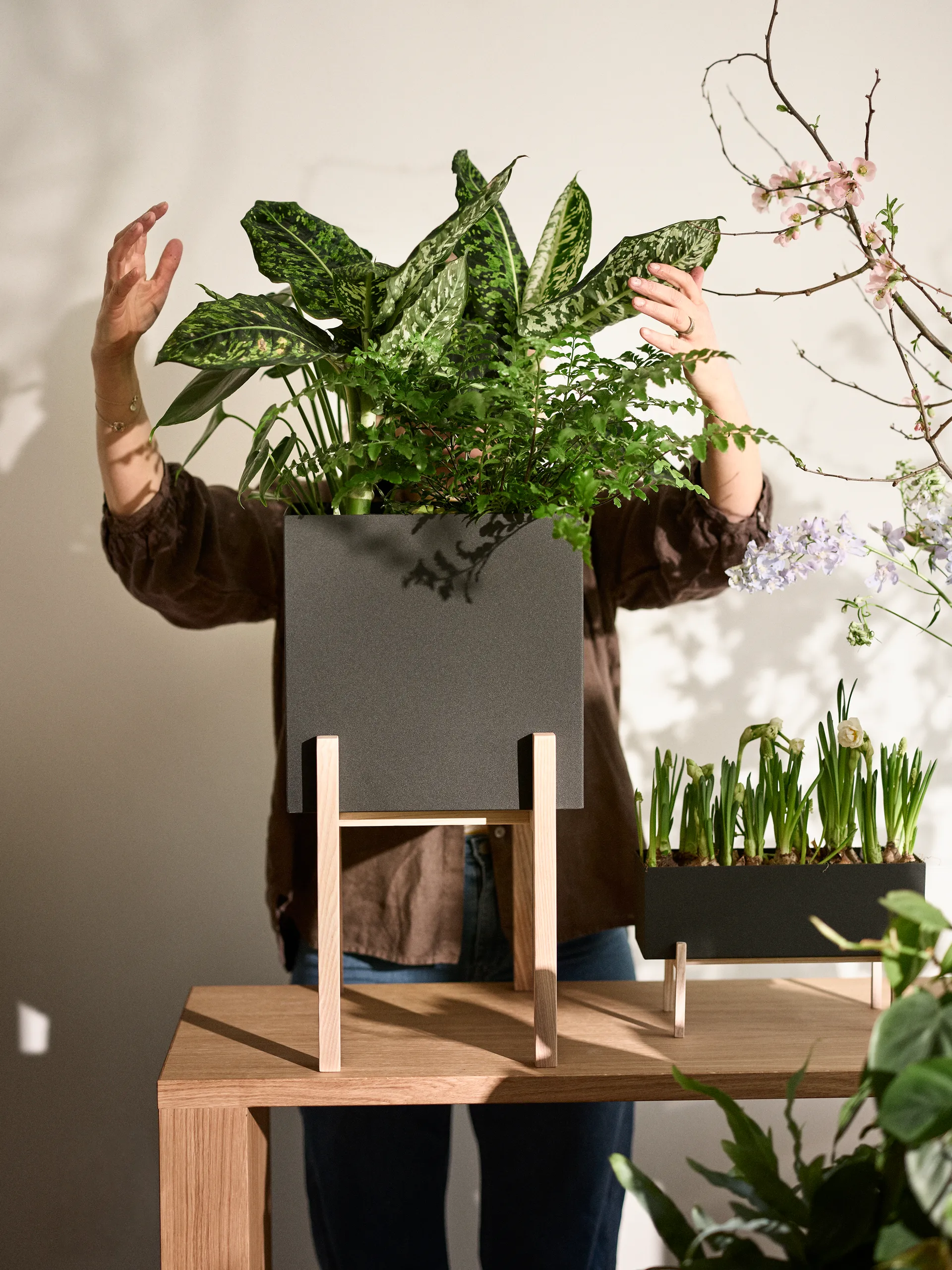 Botanic pedestal kruka, Svart-ask Design House Stockholm