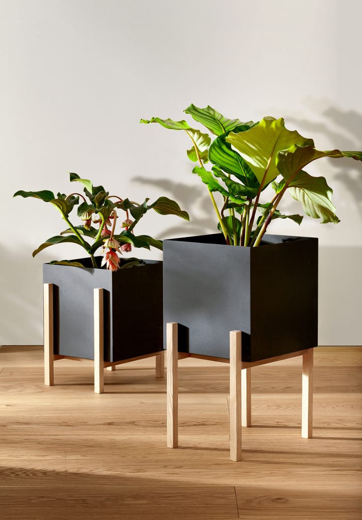 Botanic pedestal kruka, Svart-ask Design House Stockholm