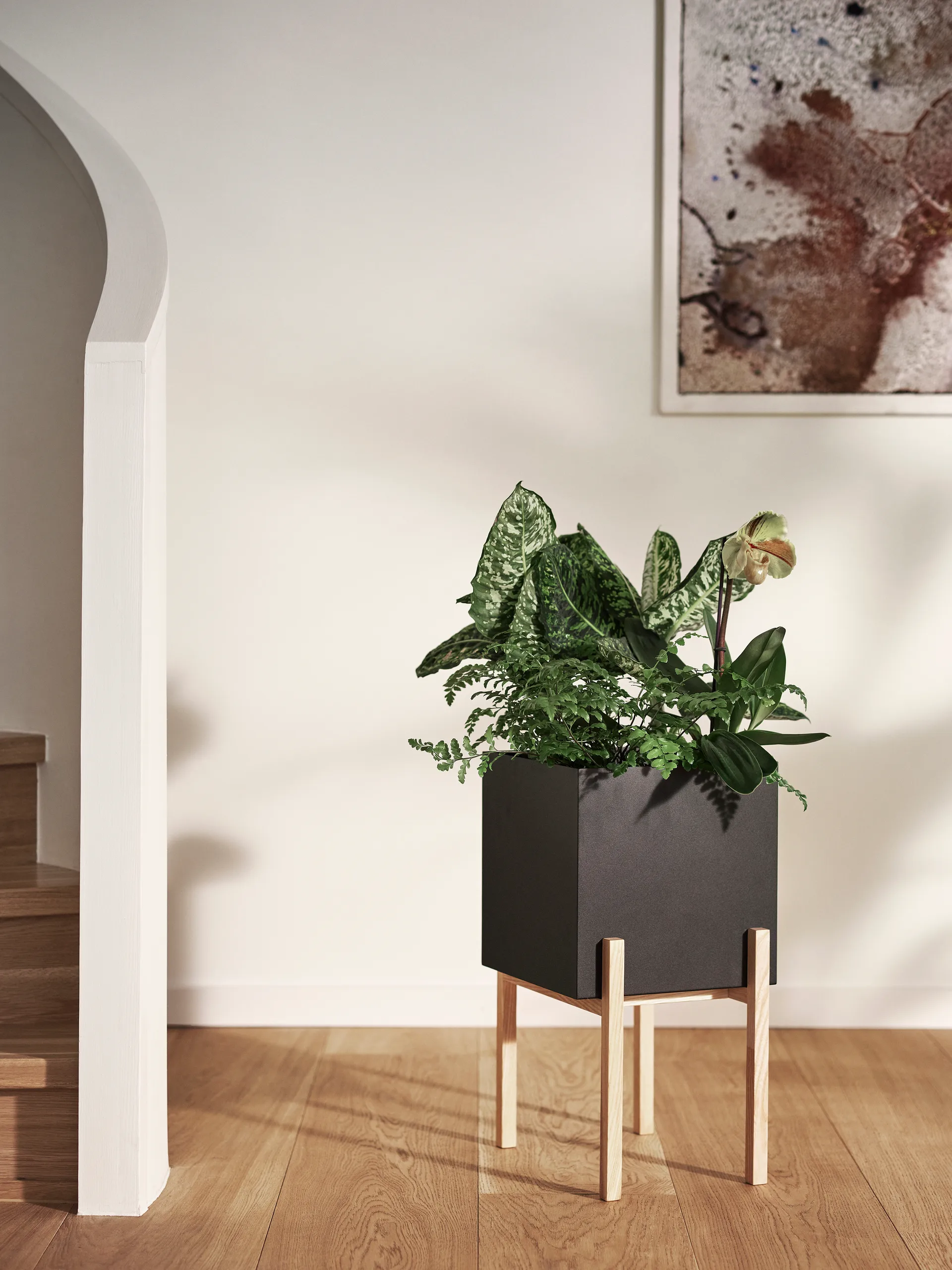 Botanic pedestal kruka, Svart-ask Design House Stockholm