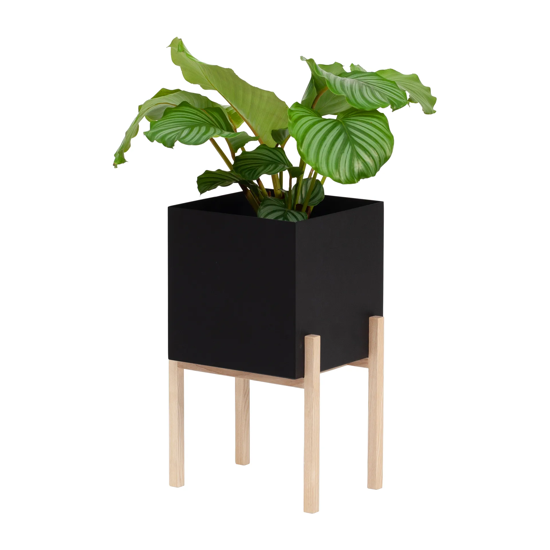 Botanic pedestal kruka, Svart-ask Design House Stockholm