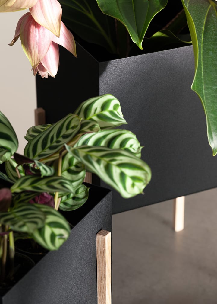 Botanic pot kruka, Svart-ask Design House Stockholm