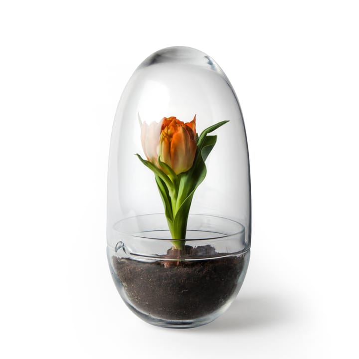 Grow odlingskupa - Medium Ø11 cm - Design House Stockholm