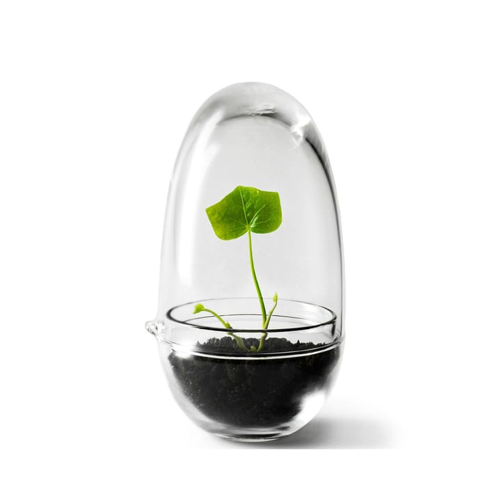 Grow odlingskupa - small Ø8 cm - Design House Stockholm