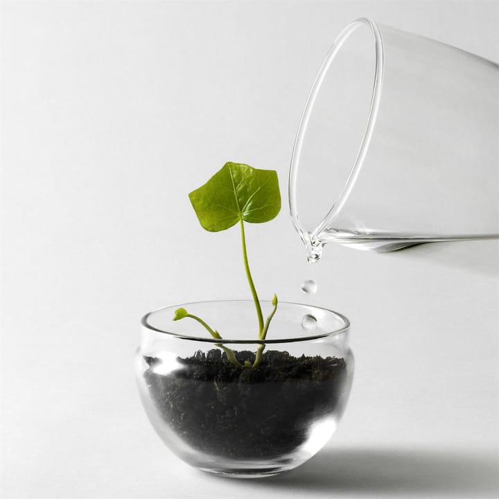 Grow odlingskupa, small Ø8 cm Design House Stockholm