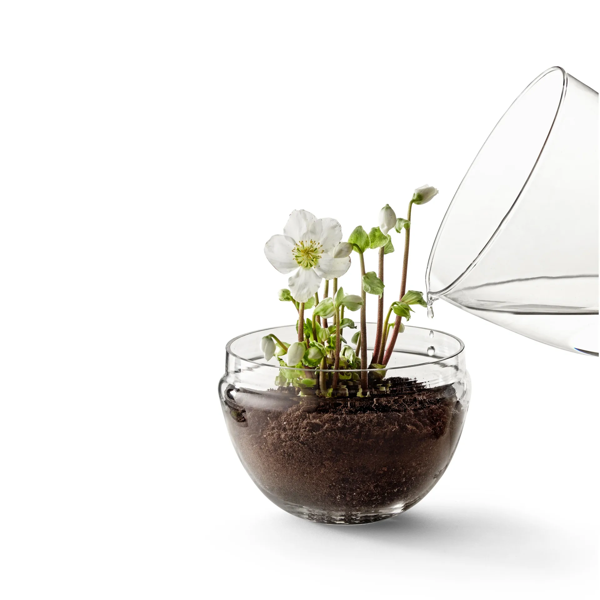 Grow odlingskupa, x-large Ø20 cm Design House Stockholm