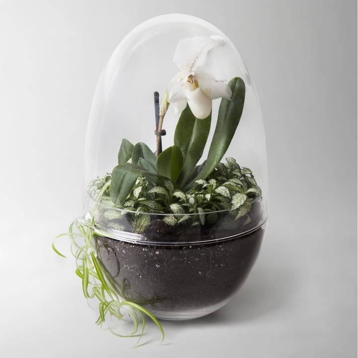 Grow odlingskupa - x-large Ø20 cm - Design House Stockholm