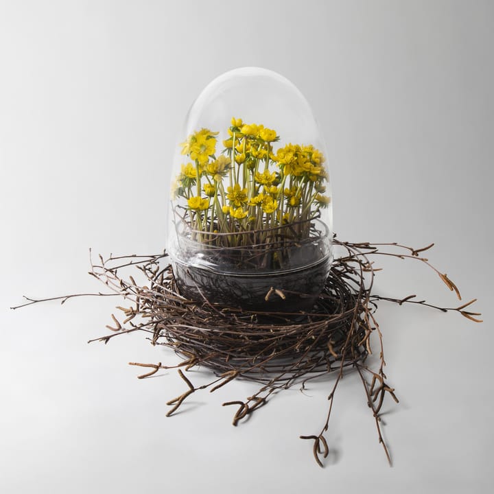 Grow odlingskupa, x-large Ø20 cm Design House Stockholm