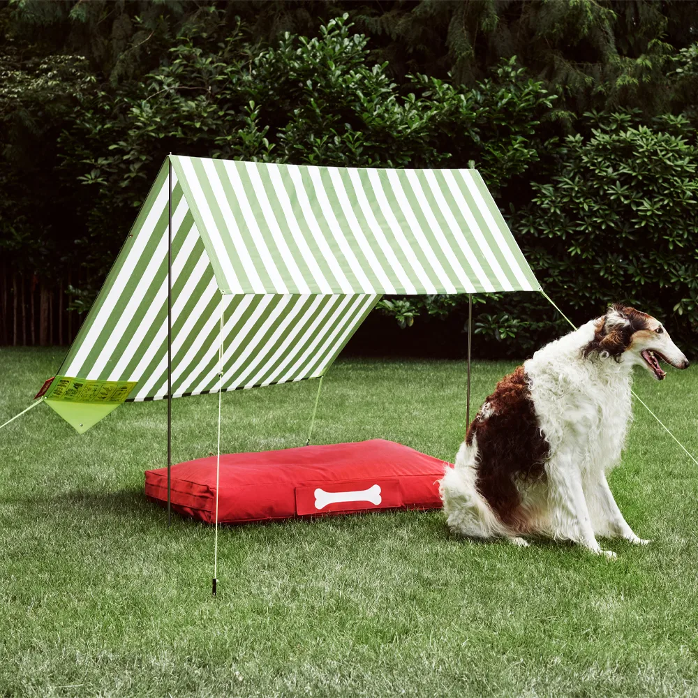 Miasun tält, dundee Fatboy