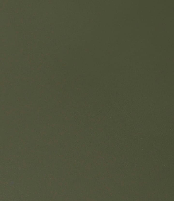 C35C matbord 95x220 cm, Olive green-oak nature lacquered FDB Møbler