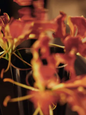 Eddy väggvas - Spegelblankt rostfritt stål - Ferm Living