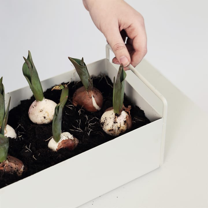 ferm LIVING plant box small - ljusgrå - ferm LIVING