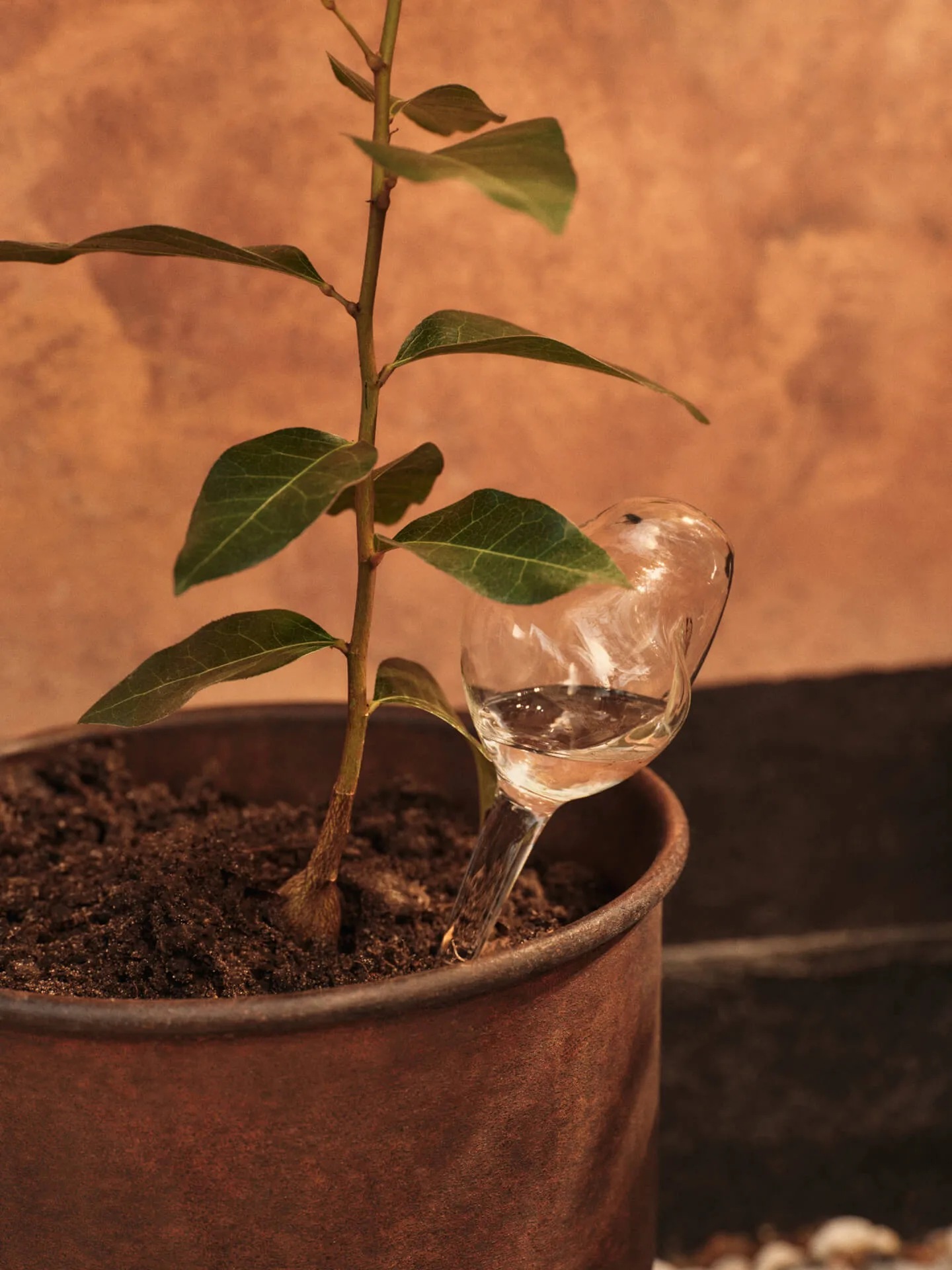 Mercury bevattningsglob 2 delar, Clear, 12x18,5 cm Ferm Living