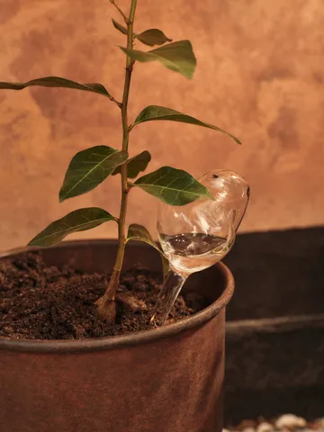 Mercury bevattningsglob 2 delar - Clear, 12x18,5 cm - Ferm Living