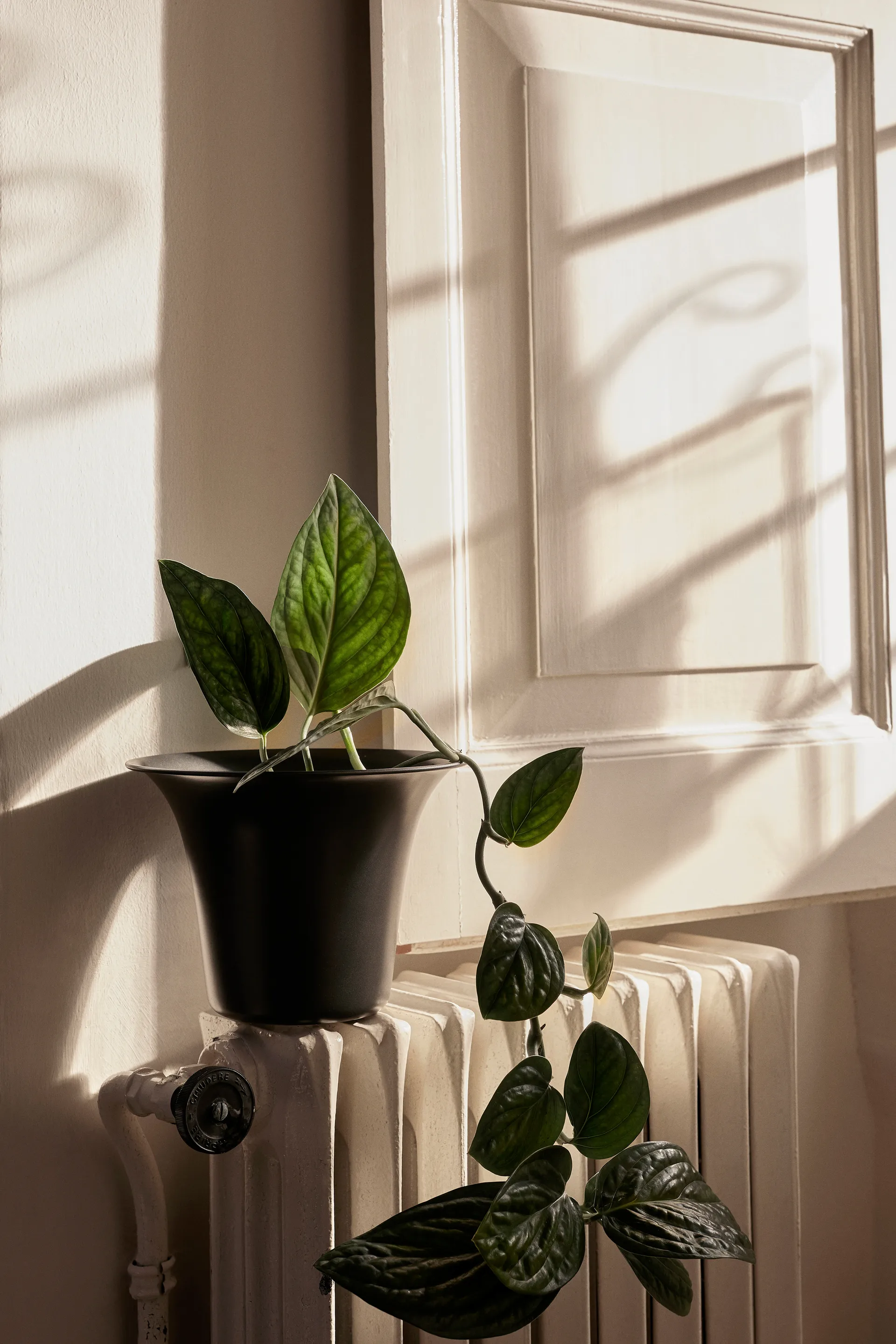 Spun Alu kruka Ø24x17,5 cm, Blackened aluminium Ferm Living