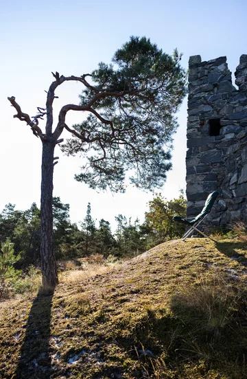 Fiesta Soft solstol - Dark green-aluminium - Fiam