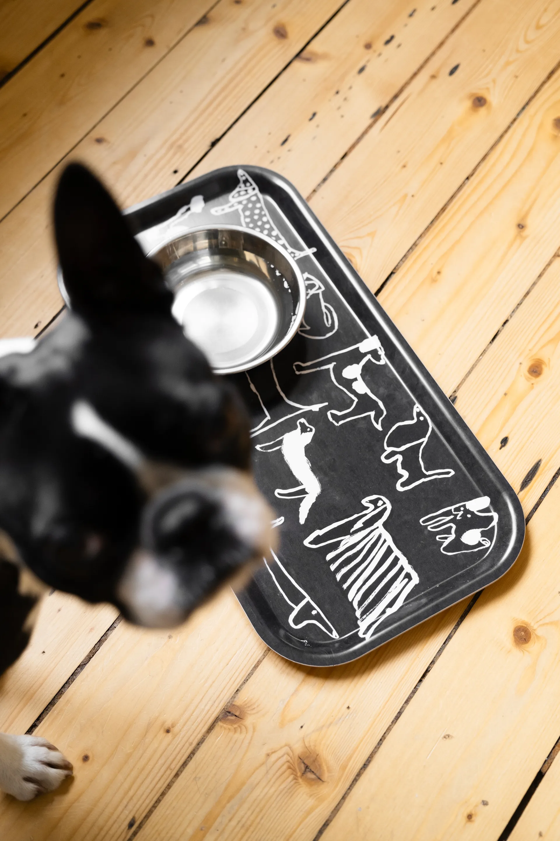 Dogs bricka 22x43 cm, Black-white Fine Little Day