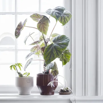 Edge kruka (inomhus) Ø18 cm - burned red - Fritz Hansen