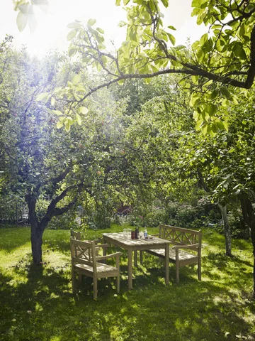 Skagen karmstol - teak - Fritz Hansen