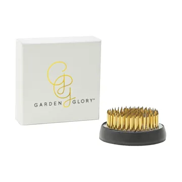 Garden Glory Flower Frogs blomsterfakir - Medium - Garden Glory