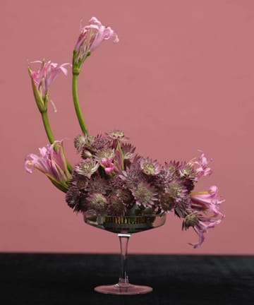 Garden Glory Flower Frogs blomsterfakir - Small - Garden Glory