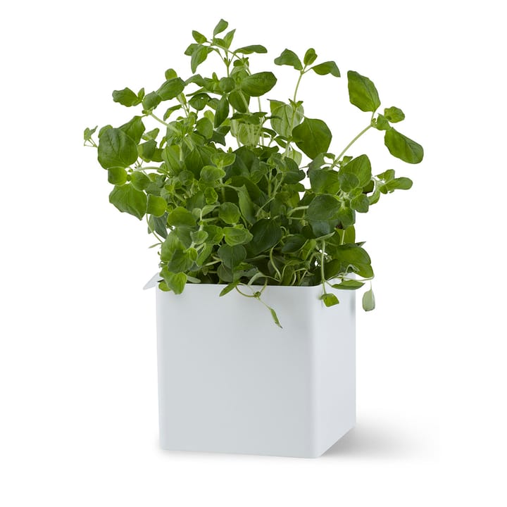 Flex Box liten 10,5 cm, Vit Gejst