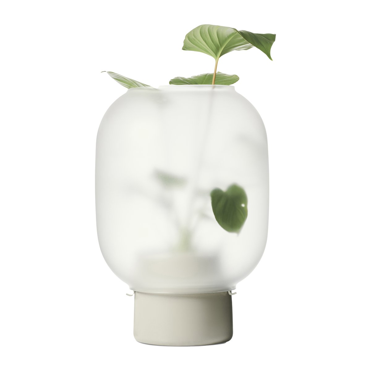 Gejst Nebl kruka med frostat glas o26 cm Grå | Skandinavisk Design | Krukor | Grå