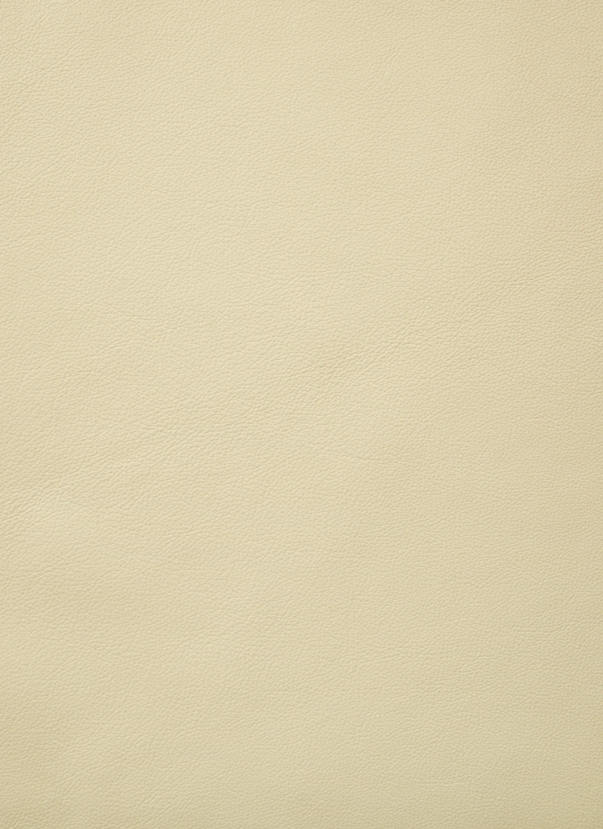 F300 loungestol, Pastel green-Smooth läder Cream GUBI