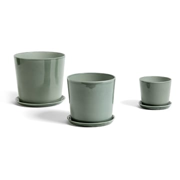 Botanical Family fat till kruka L - Dusty green - HAY